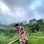 Haries Nugroho